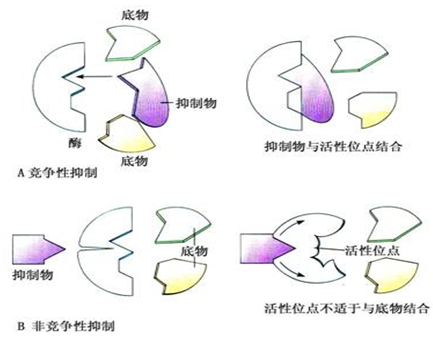 爱体育App下载